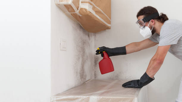 Professional Black Mold Remediation technician working in Conroe, TX