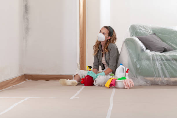 Reliable Black Mold Remediation contractor in Conroe, TX by Car Mold Remediation